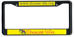 CLframe_large.jpg (8111 bytes)